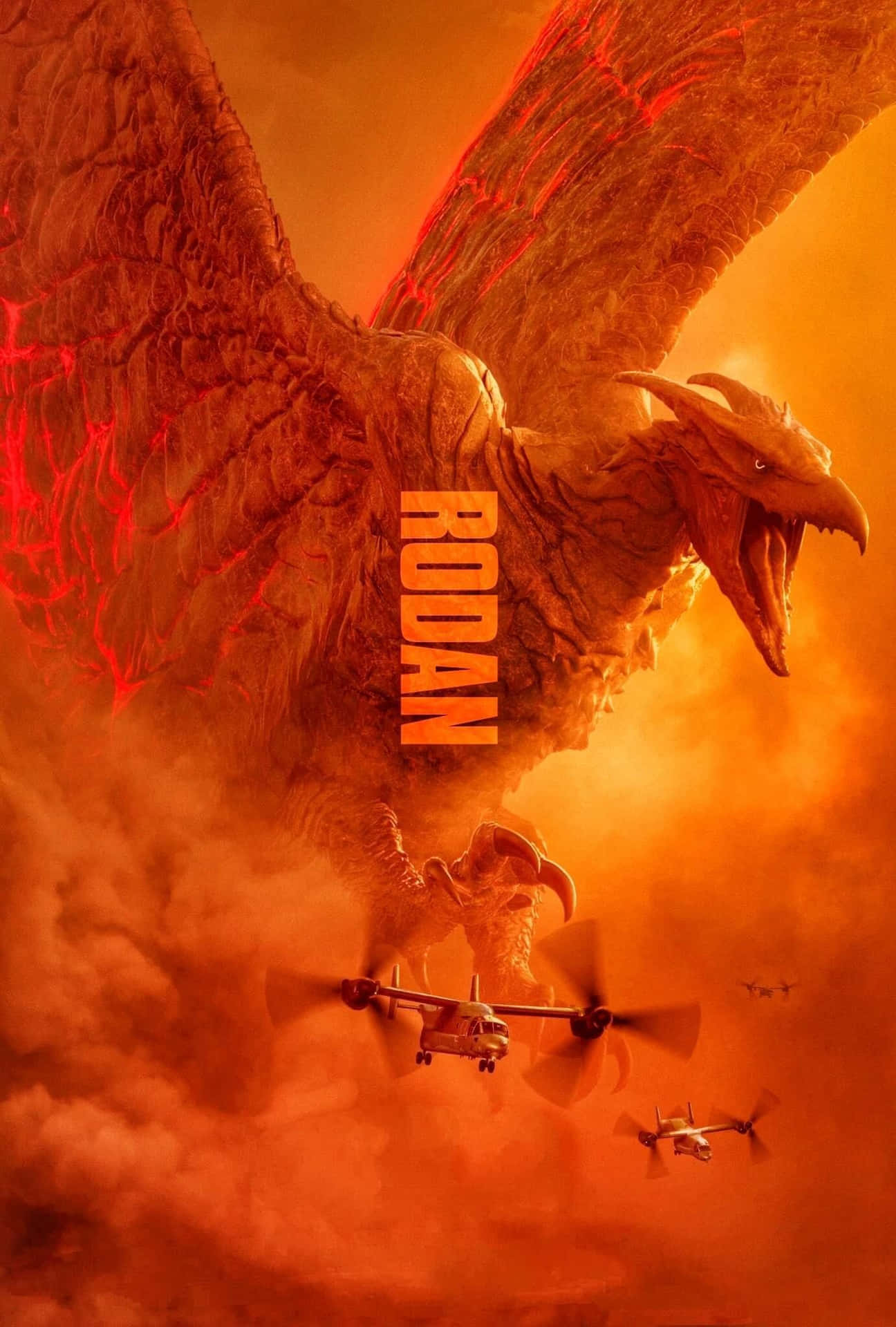 Rodan 桌布