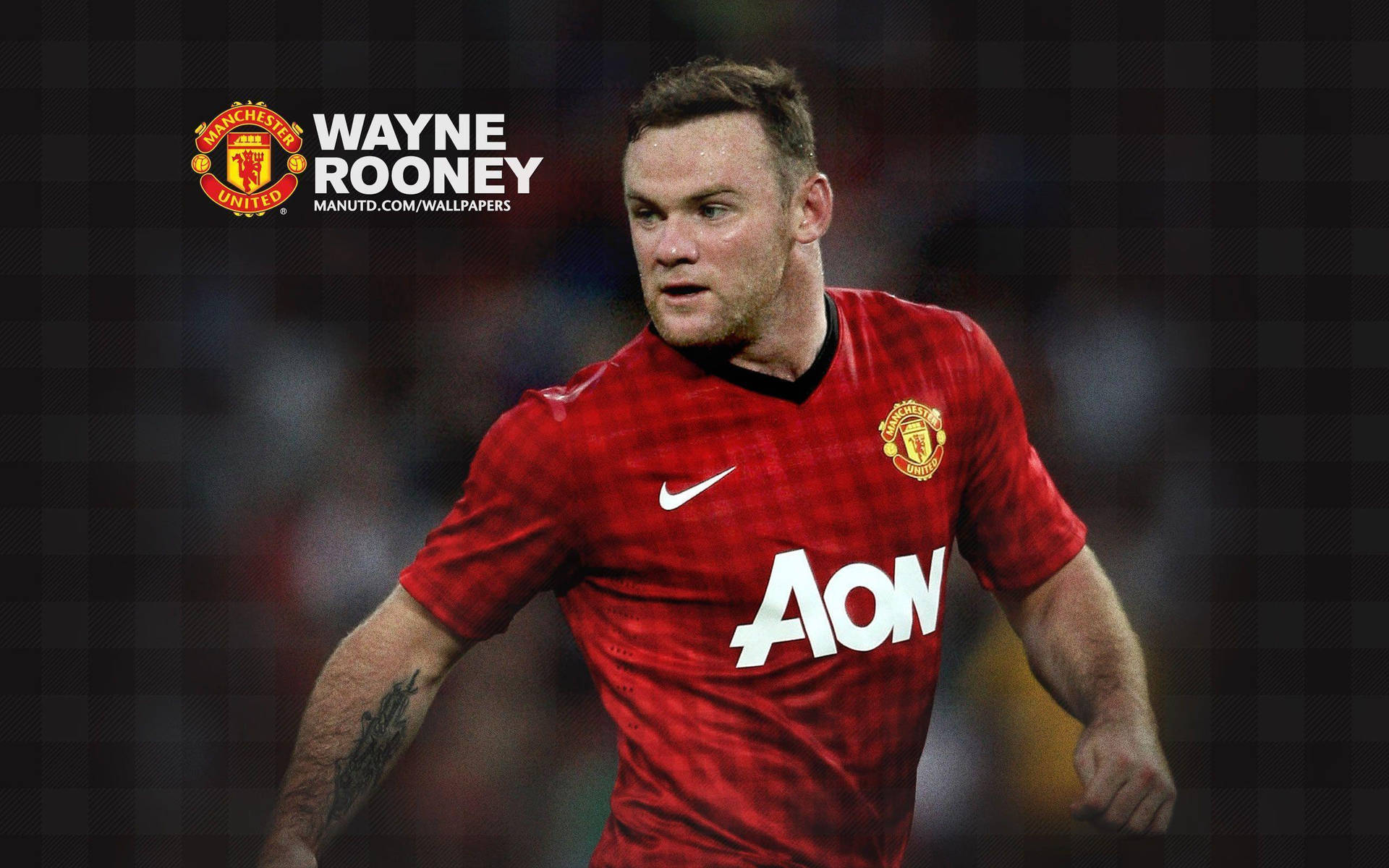 Rooney 桌布