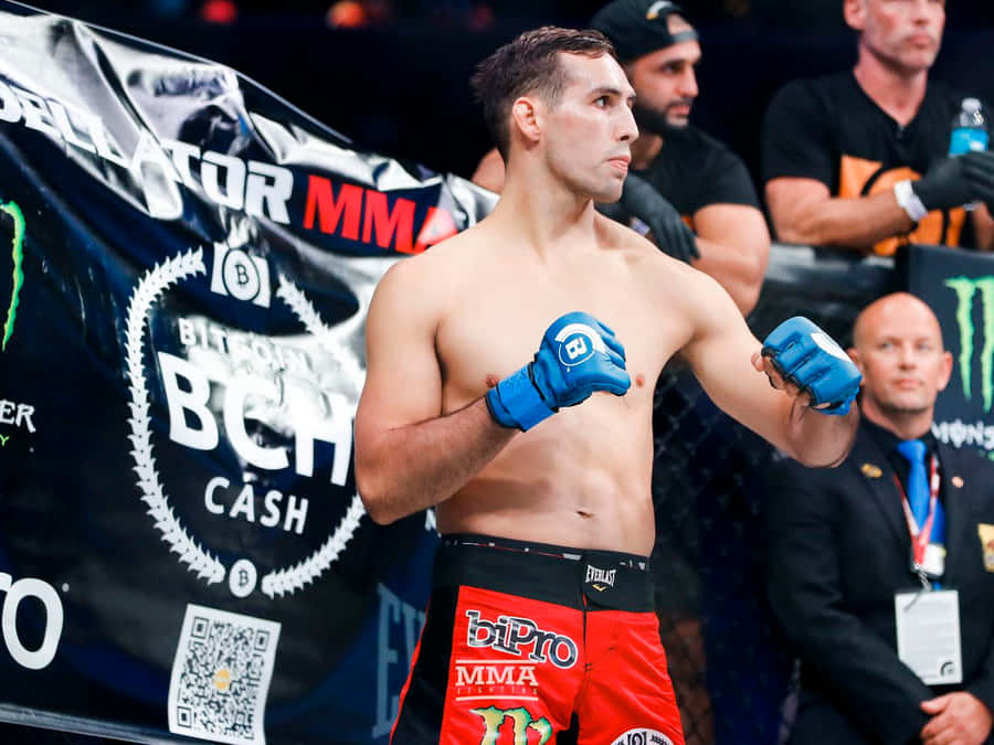 Rory Macdonald 桌布