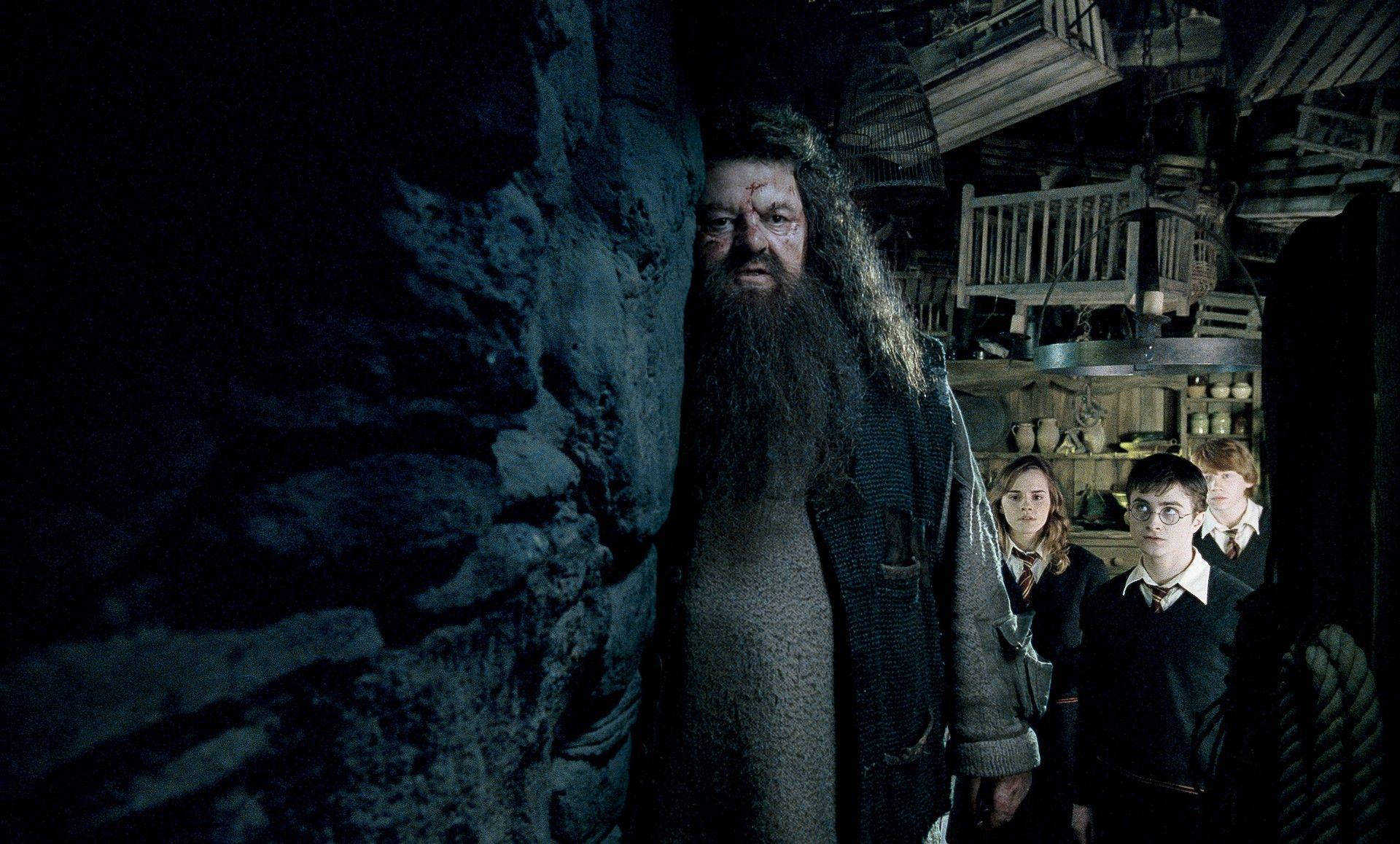 Rubeus Hagrid 桌布