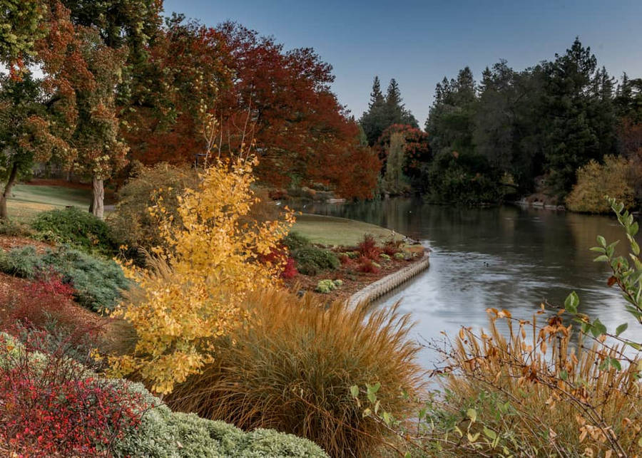 Sacramento 桌布