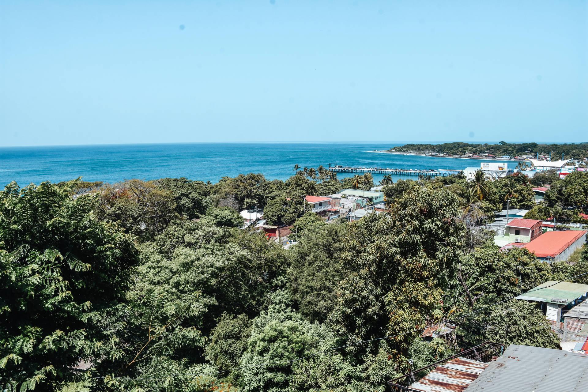 Salvador 桌布
