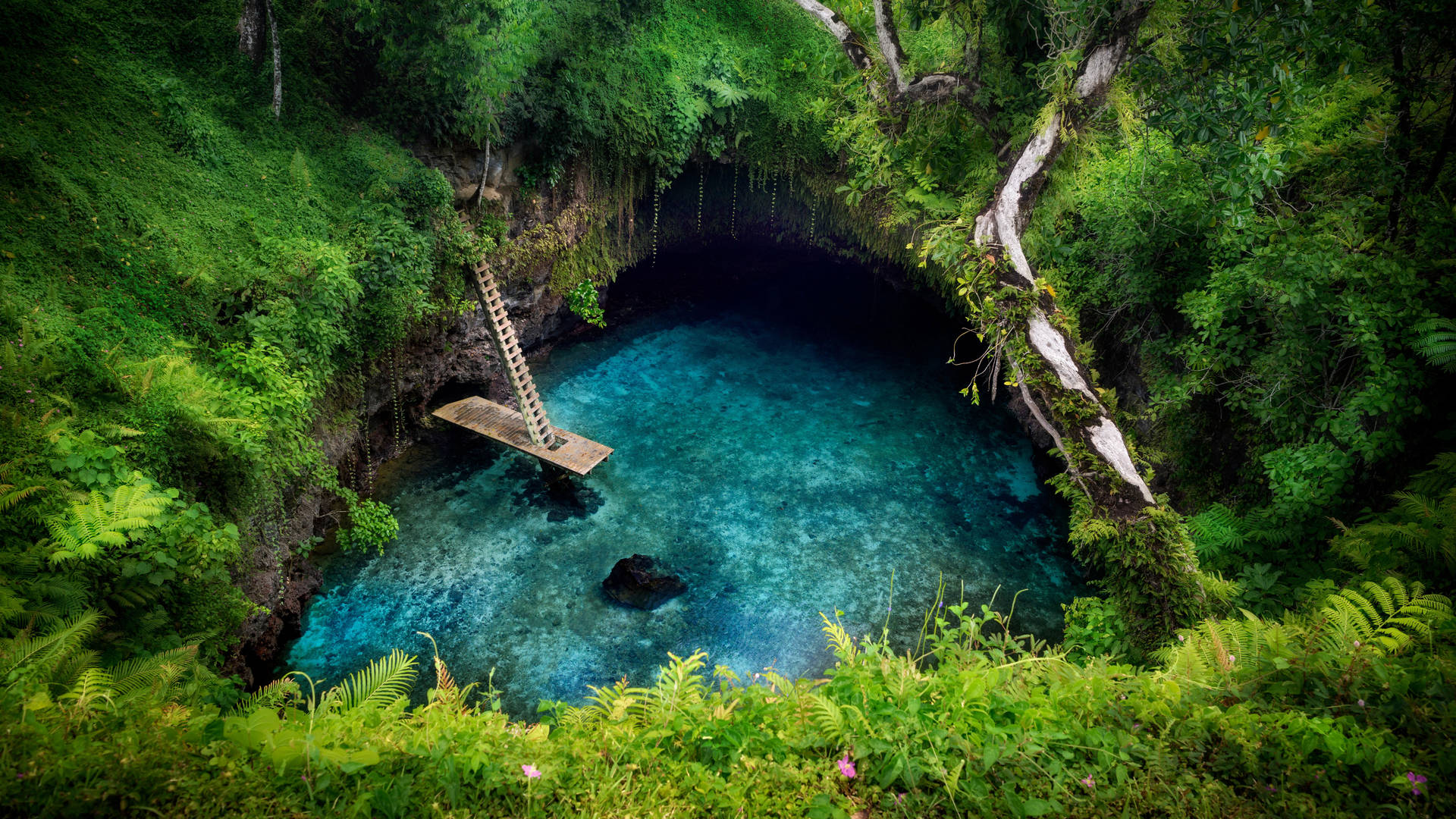 Earth Water Samoa HD Wallpaper | Background Image