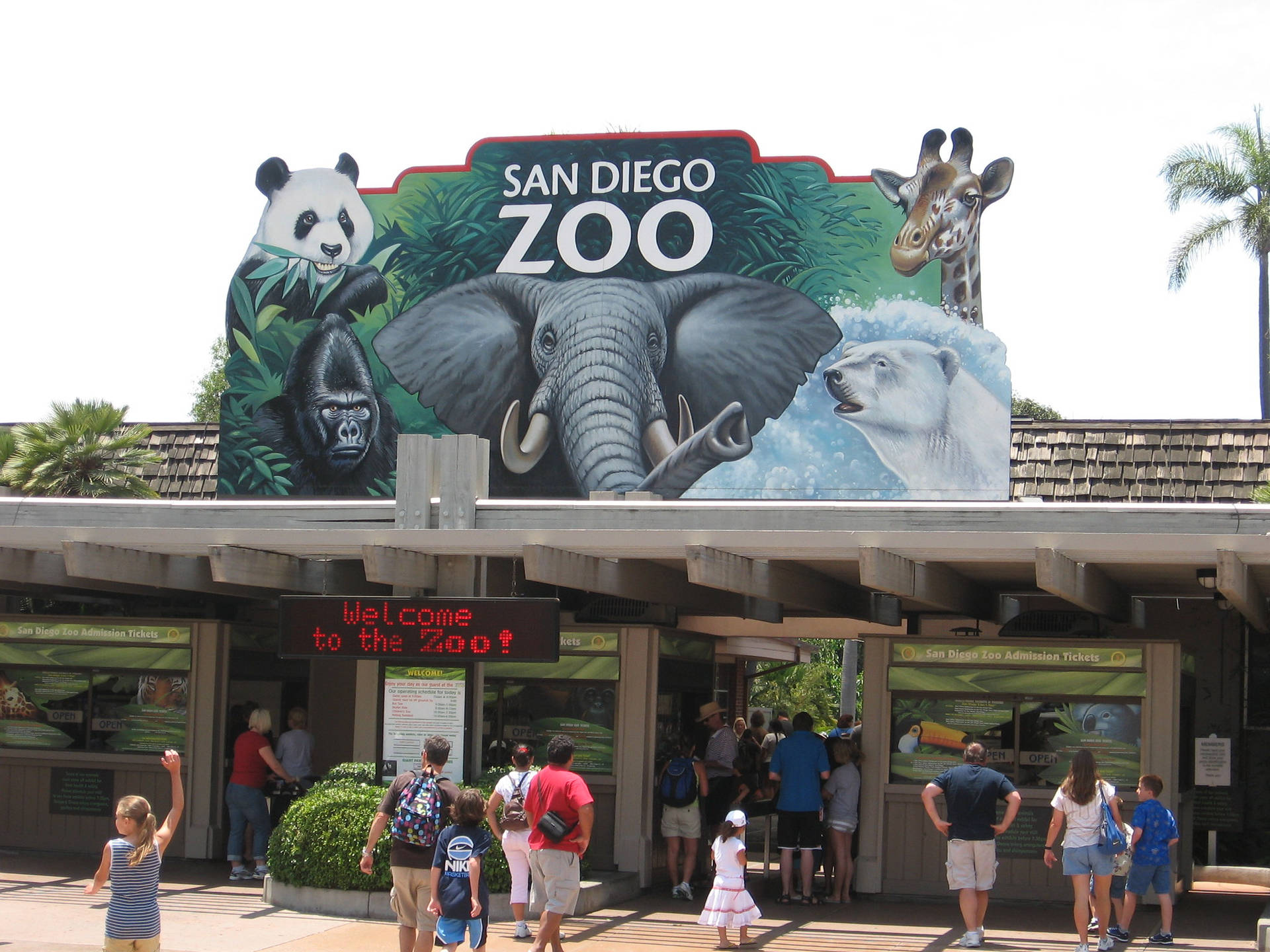 San Diego Zoo 桌布