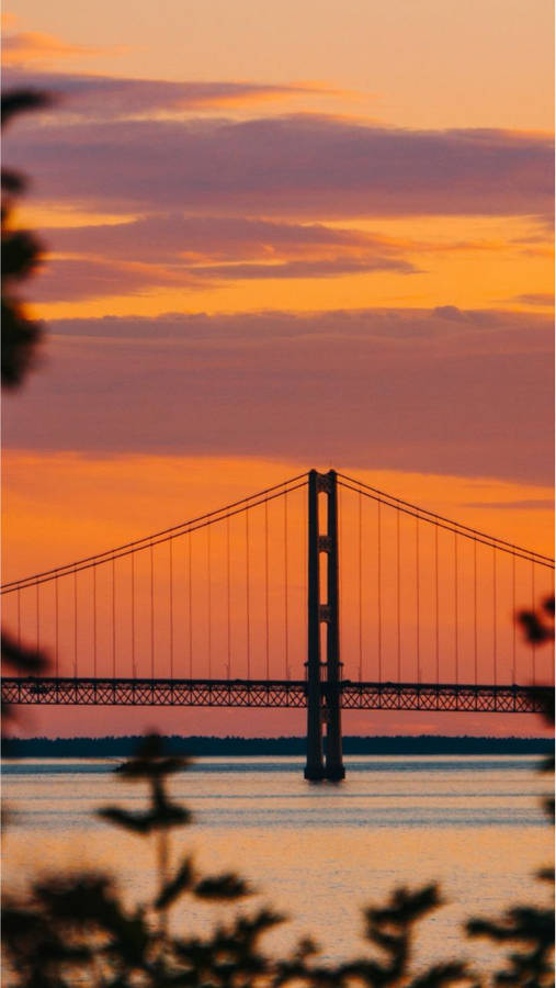 San Francisco iPhone 桌布