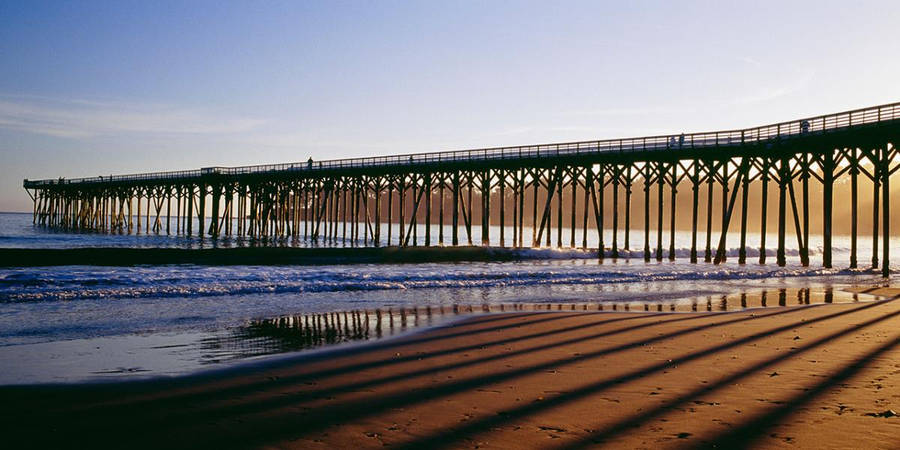 San Simeon 桌布