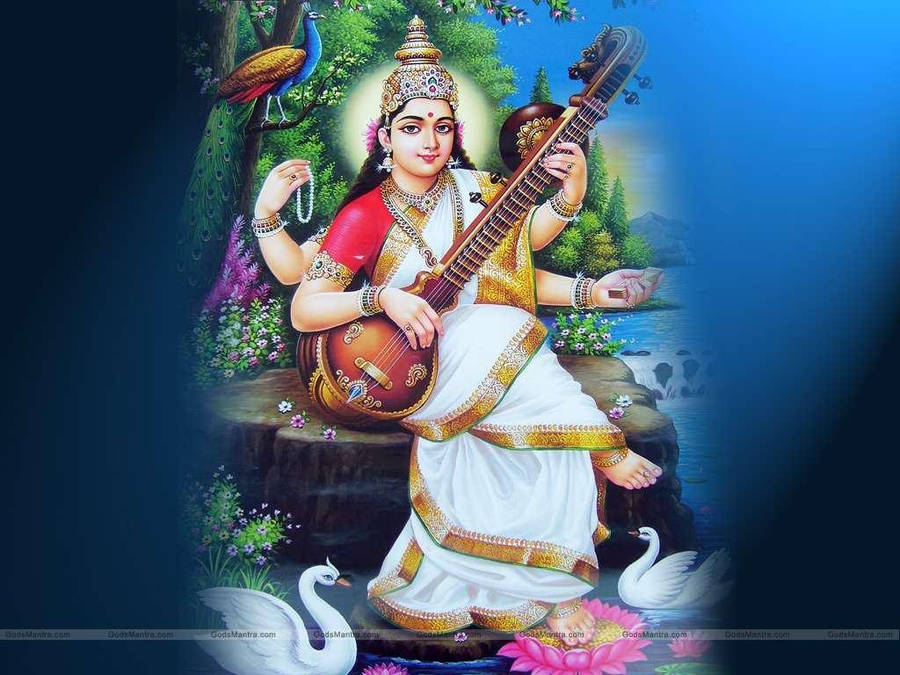 Saraswati 桌布