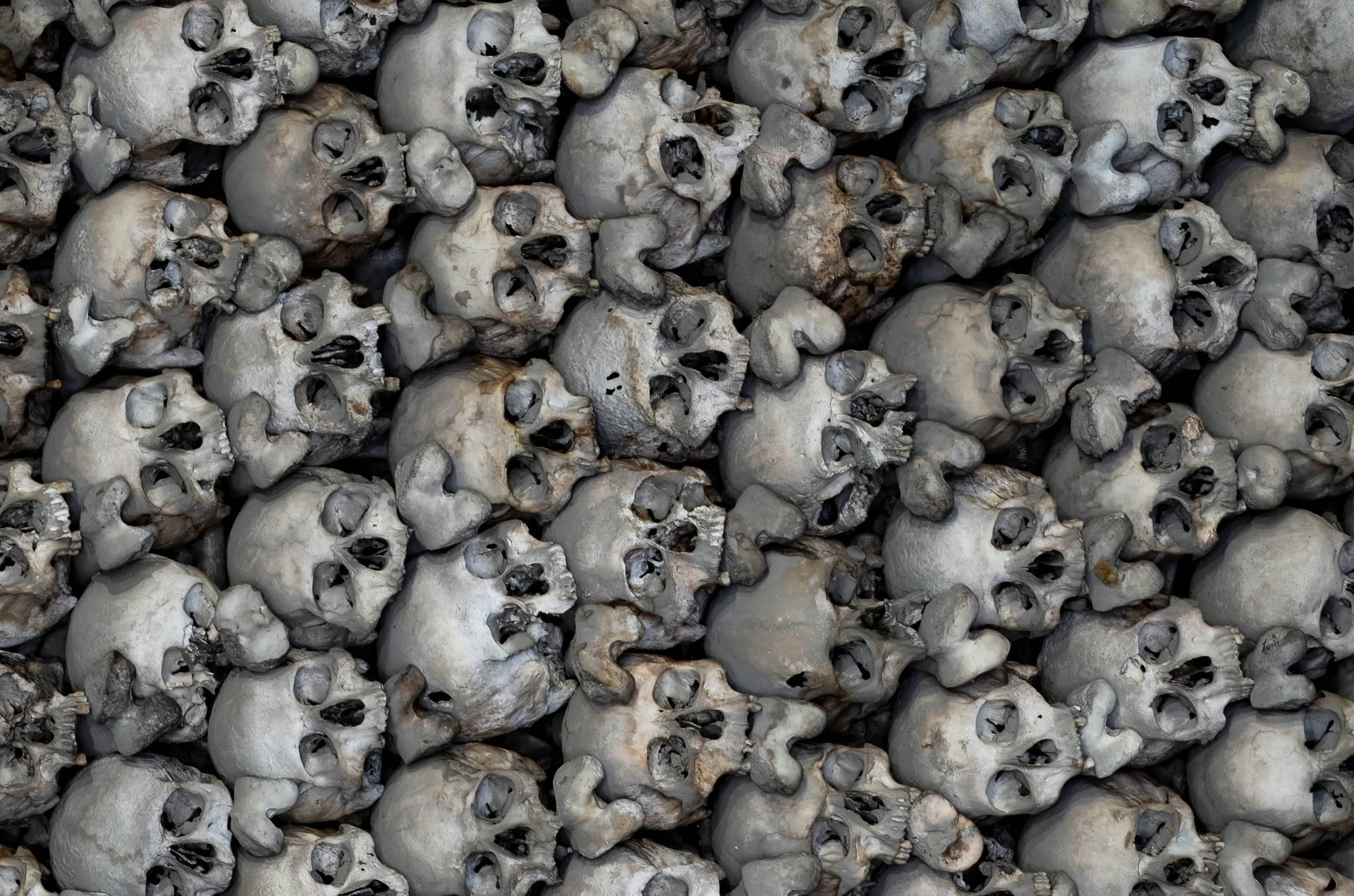 Scary Skulls 桌布