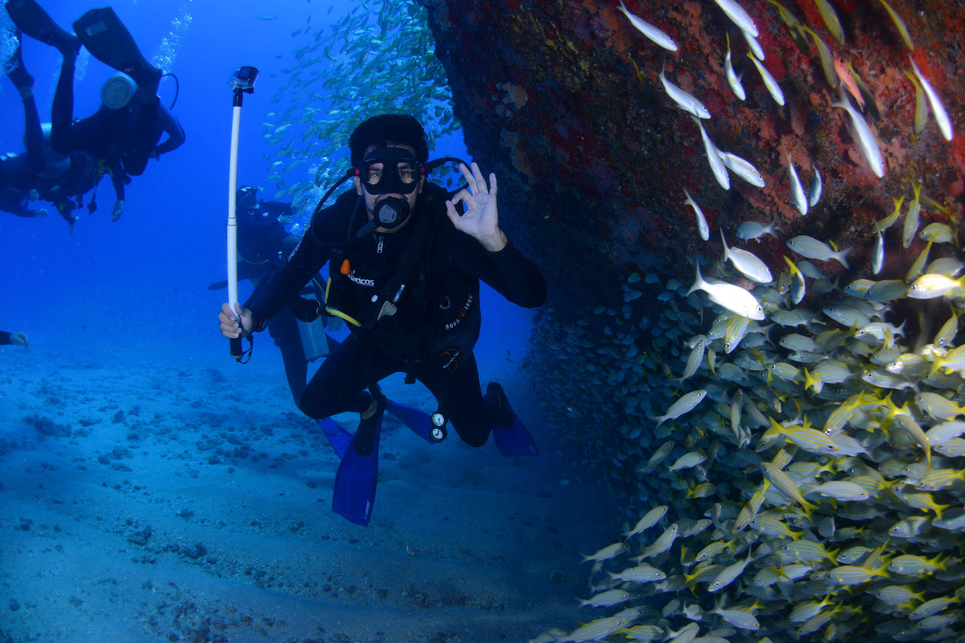 Scuba 桌布