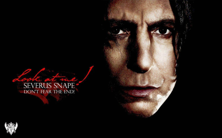 Severus Snape 桌布