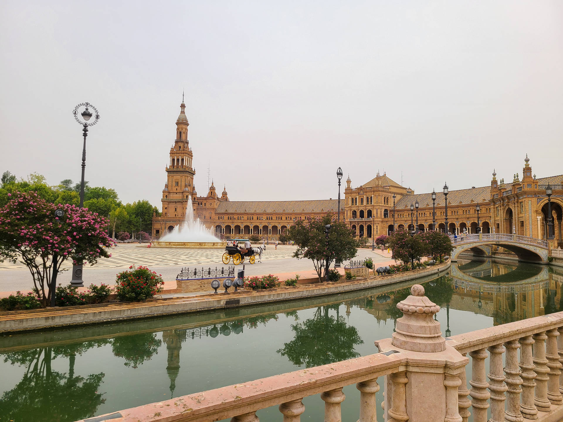 Seville 桌布
