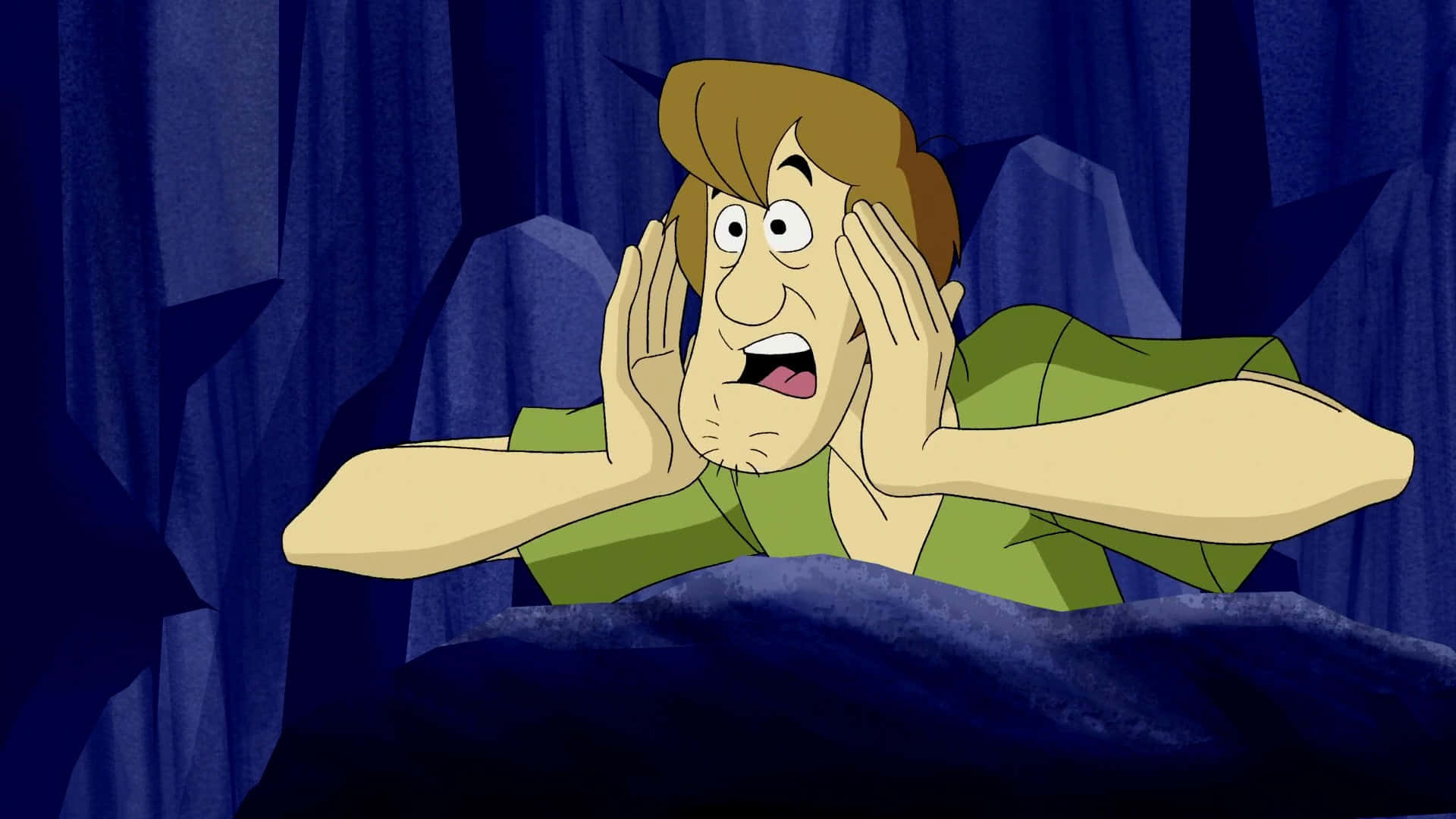 Shaggy Rogers 桌布