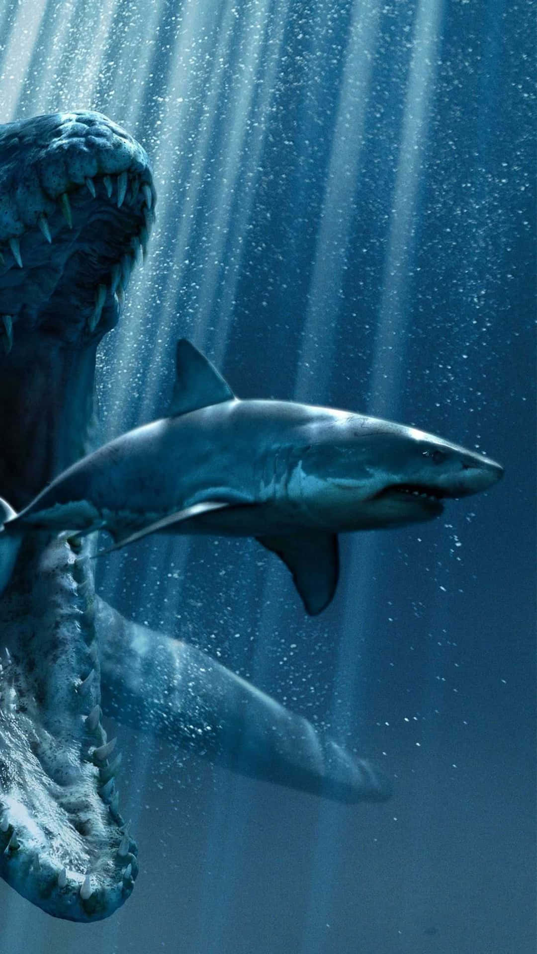 Shark iPhone 桌布