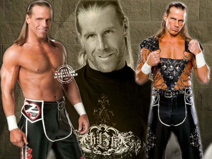 Shawn Michaels 桌布