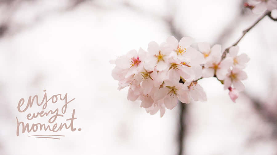 Simple Spring 桌布