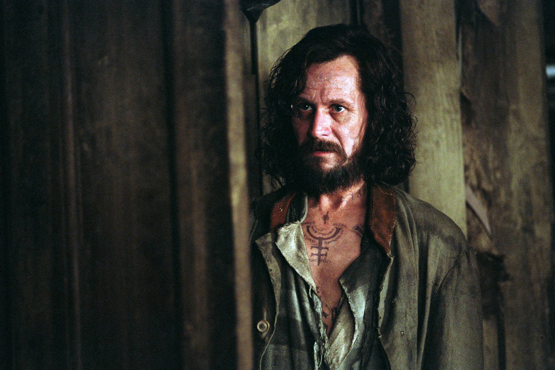 Movie Harry Potter and the Prisoner of Azkaban Harry Potter Sirius Black Gary Oldman HD Wallpaper | Background Image
