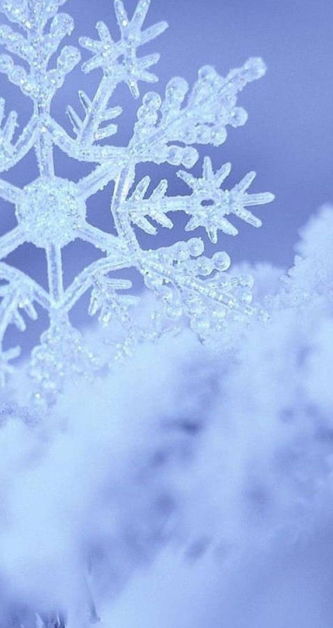 Snowflake iPhone 桌布