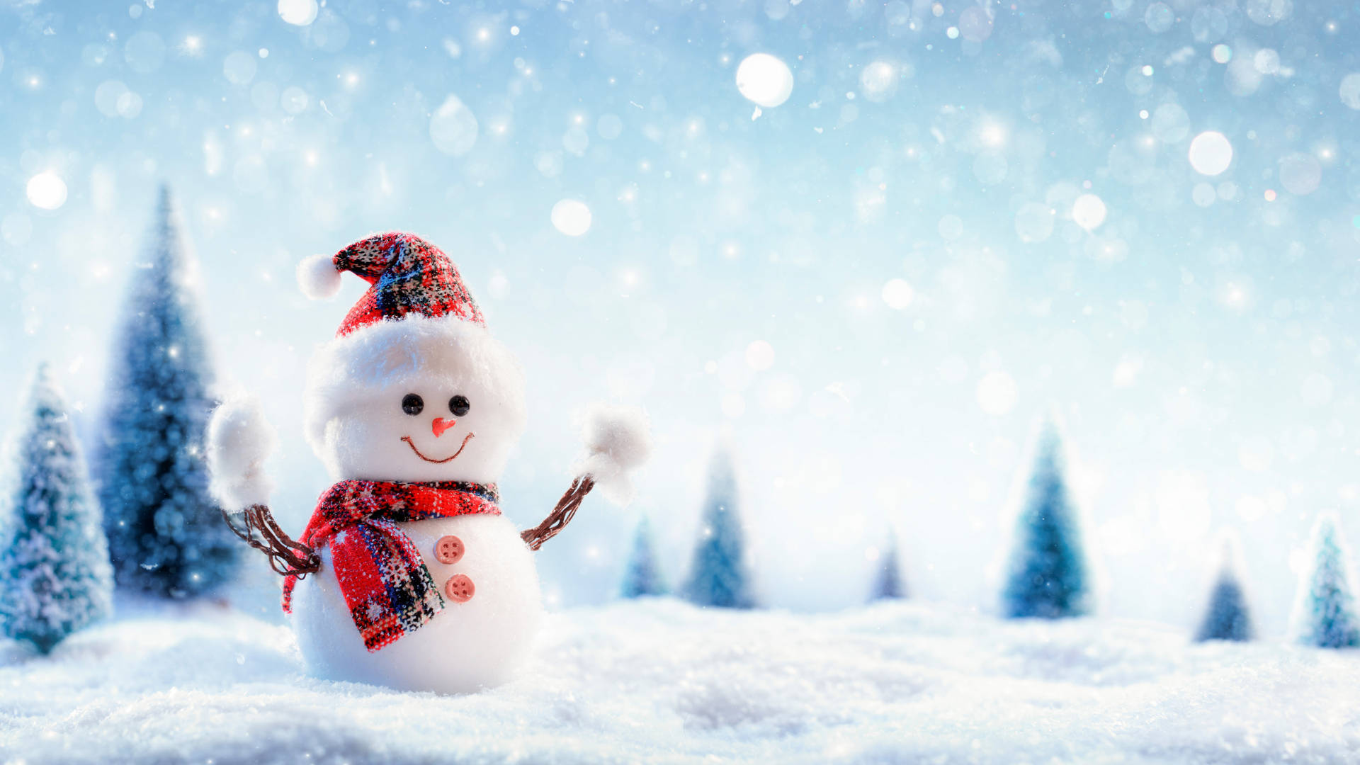 Snowy Christmas 桌布