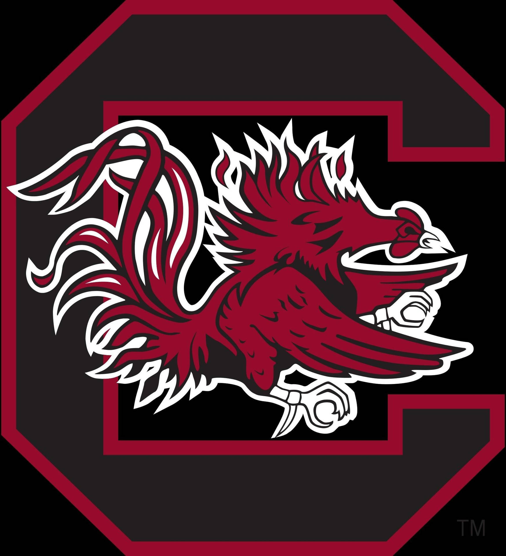 South Carolina 桌布