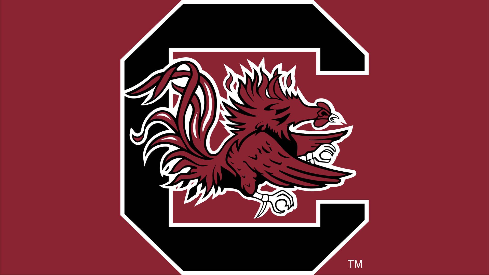 South Carolina Gamecocks 桌布