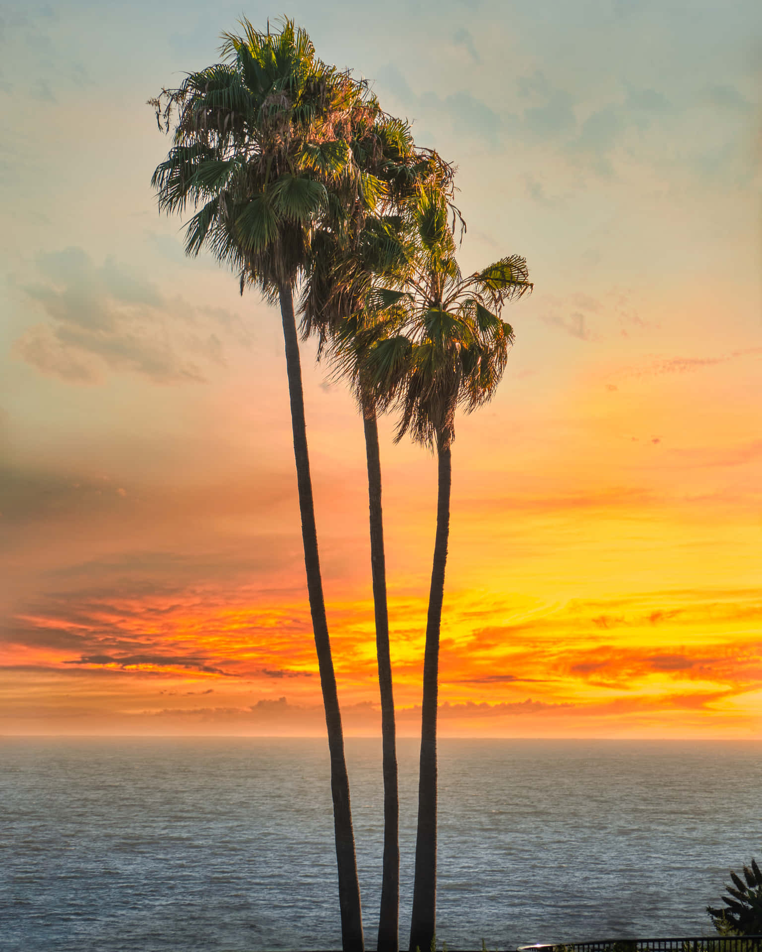 Southern California 桌布