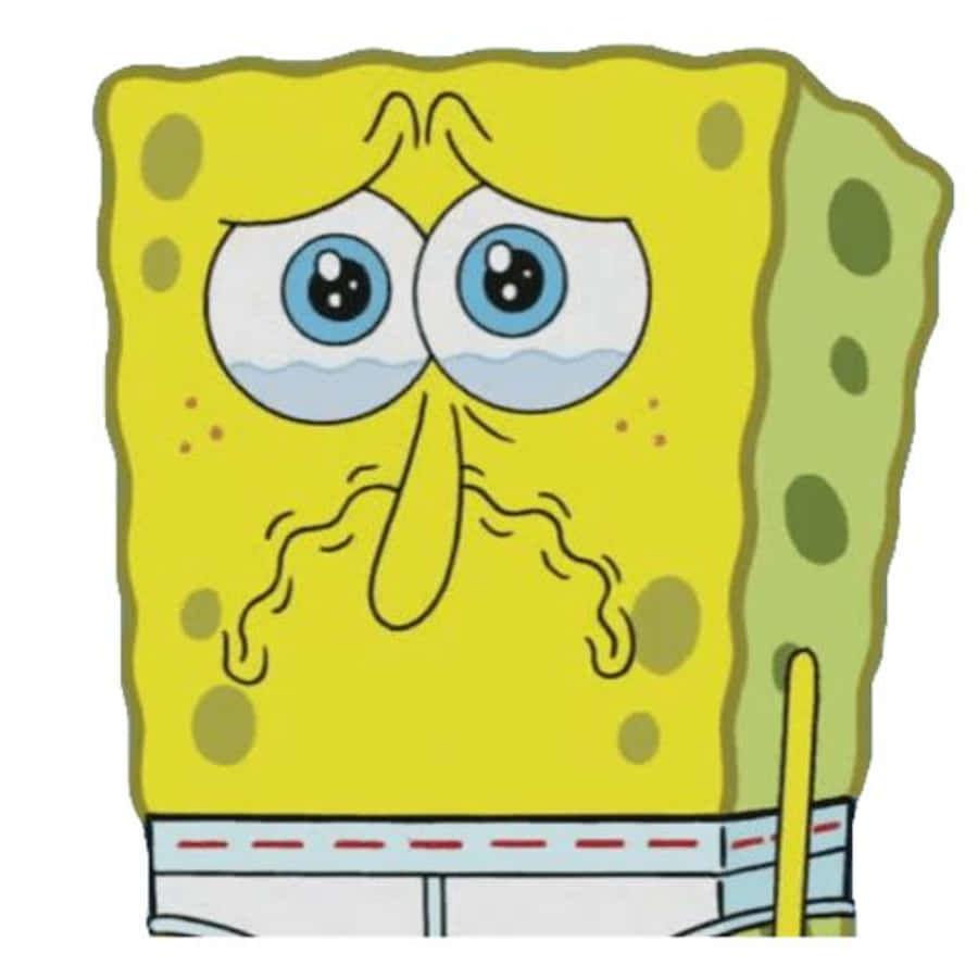 Spongebob Crying 桌布