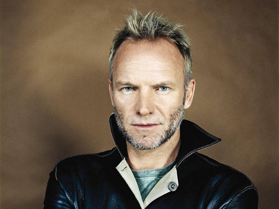 Sting 桌布