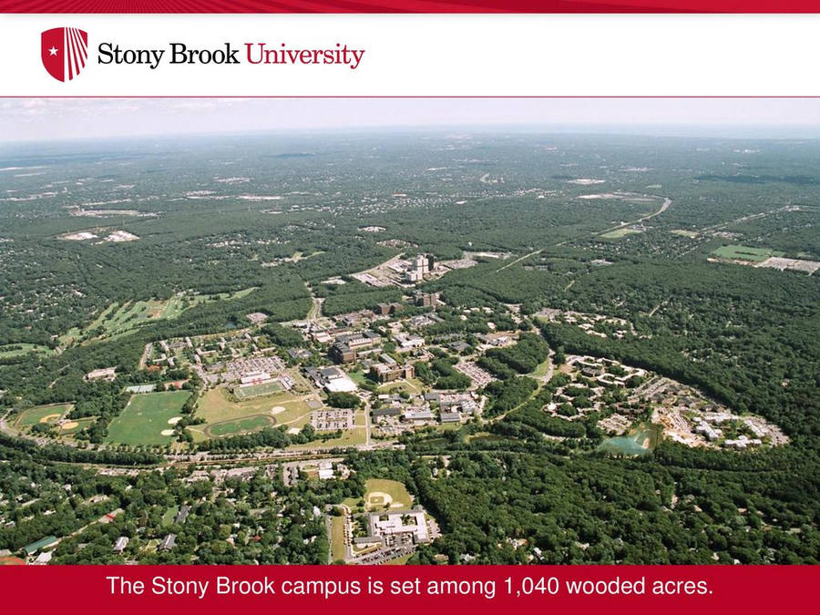Stony Brook University 桌布