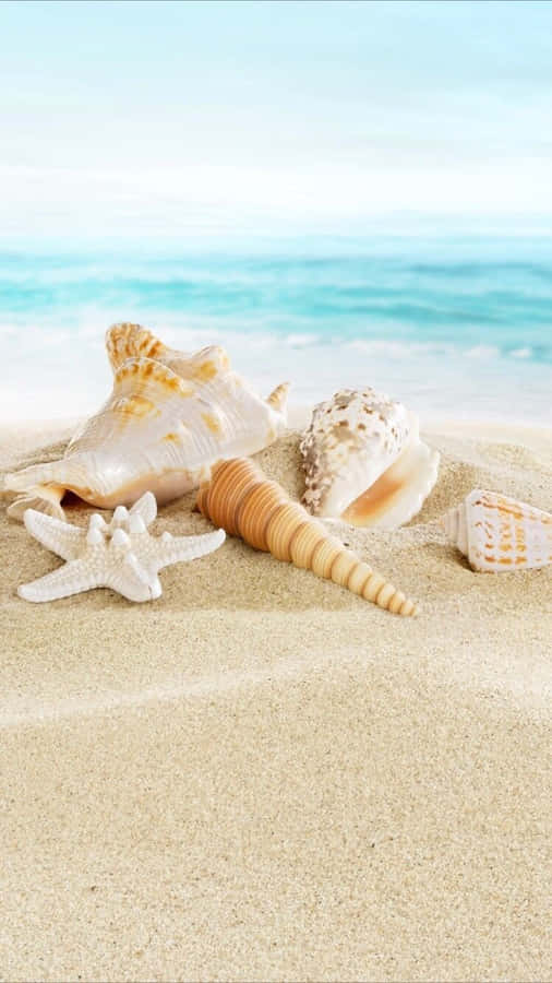 Summer Beach iPhone 桌布