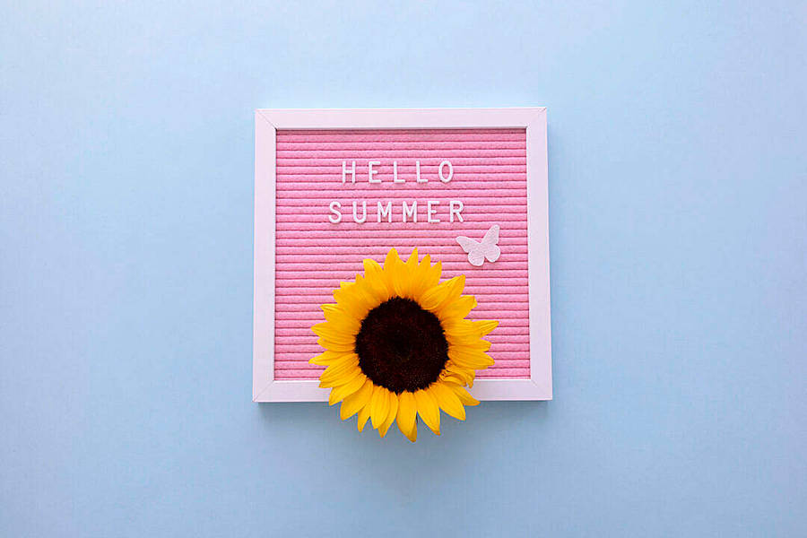 Download Hello Summer! FREE Stock Photo