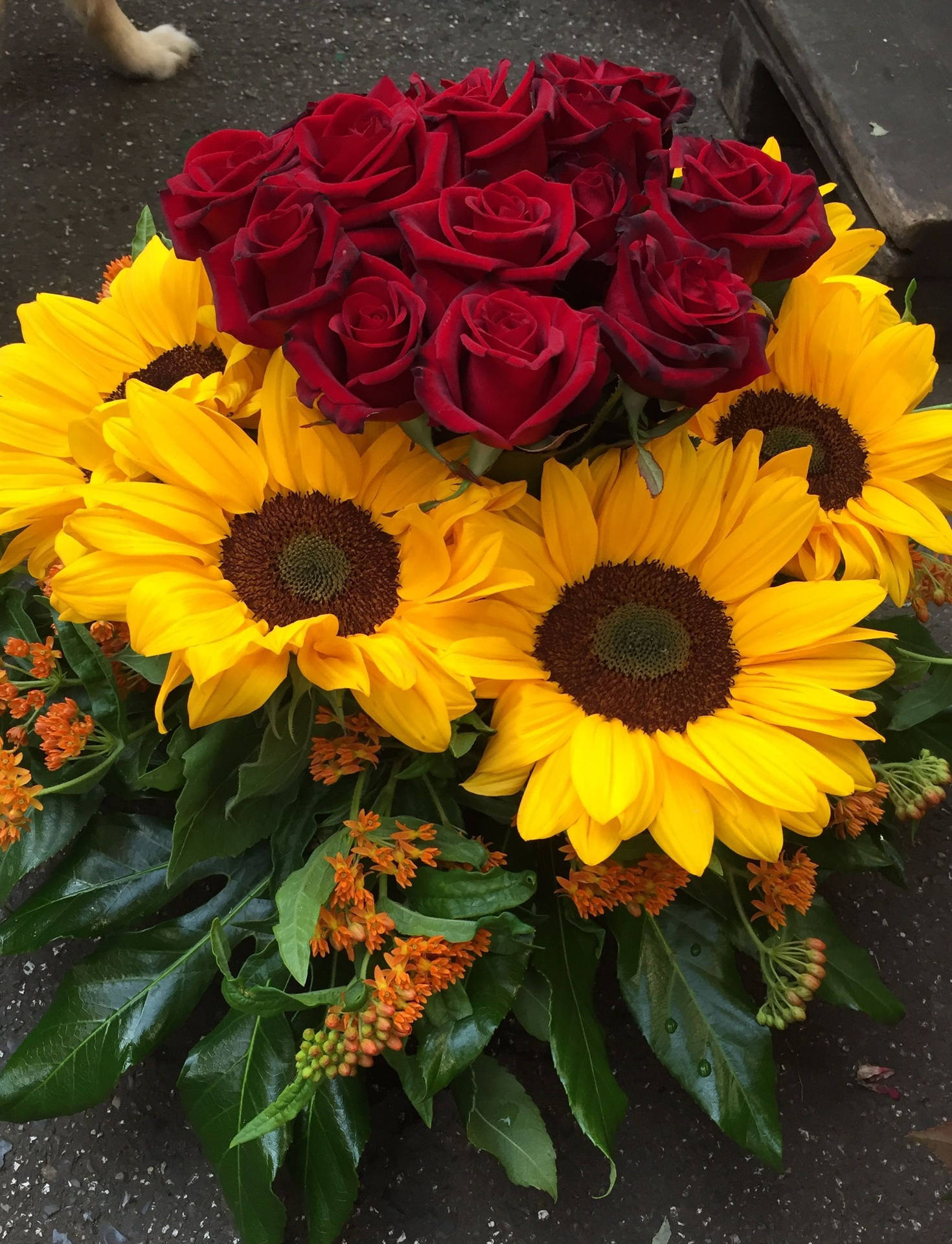Sunflower And Roses 桌布