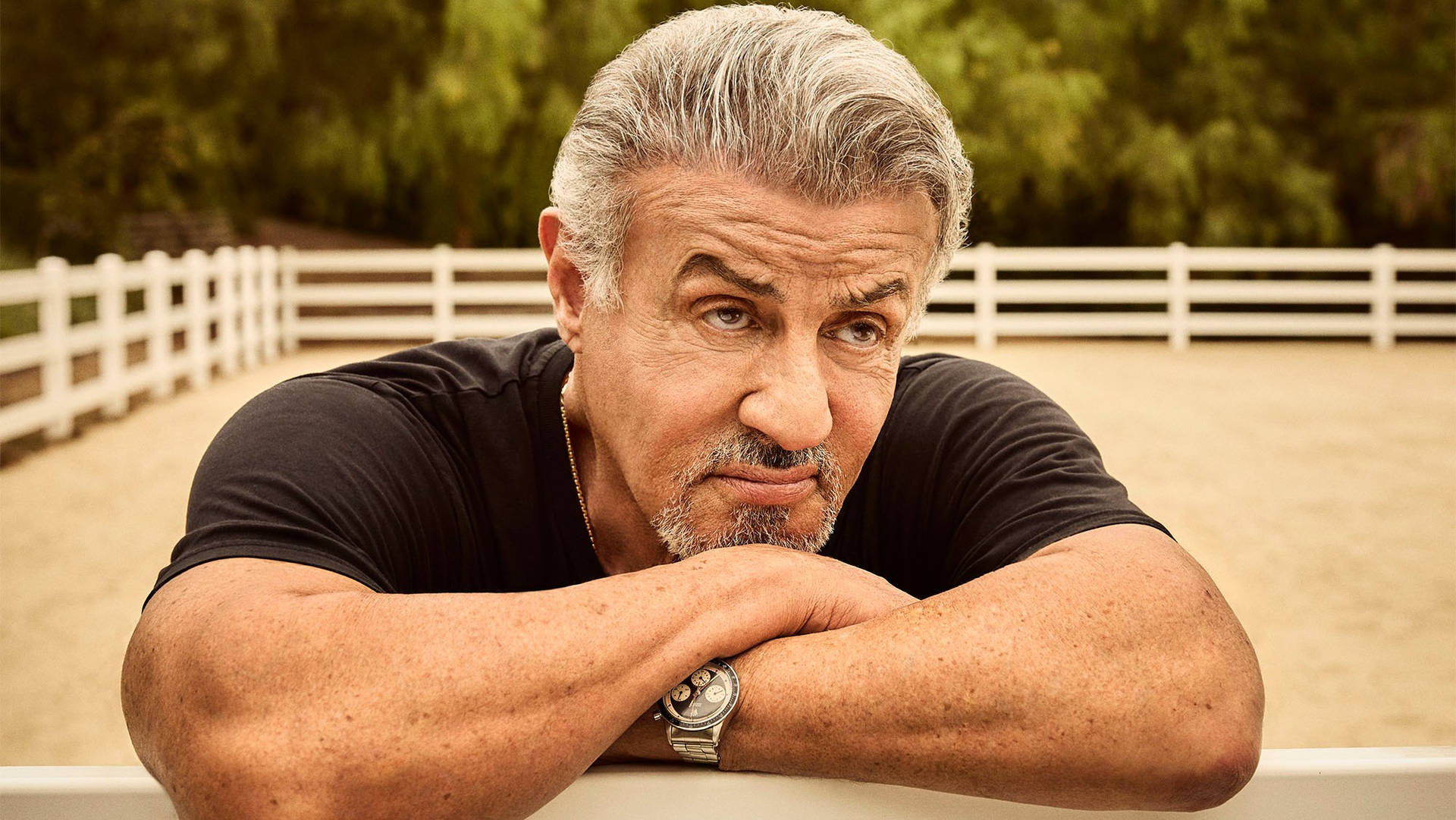 Sylvester stallone 桌布