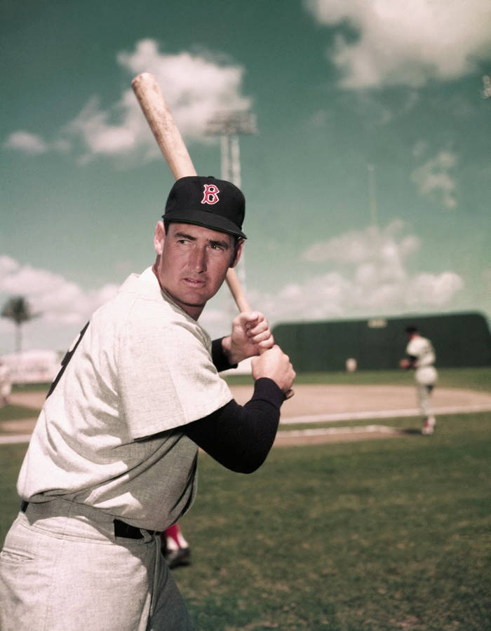 Ted Williams 桌布
