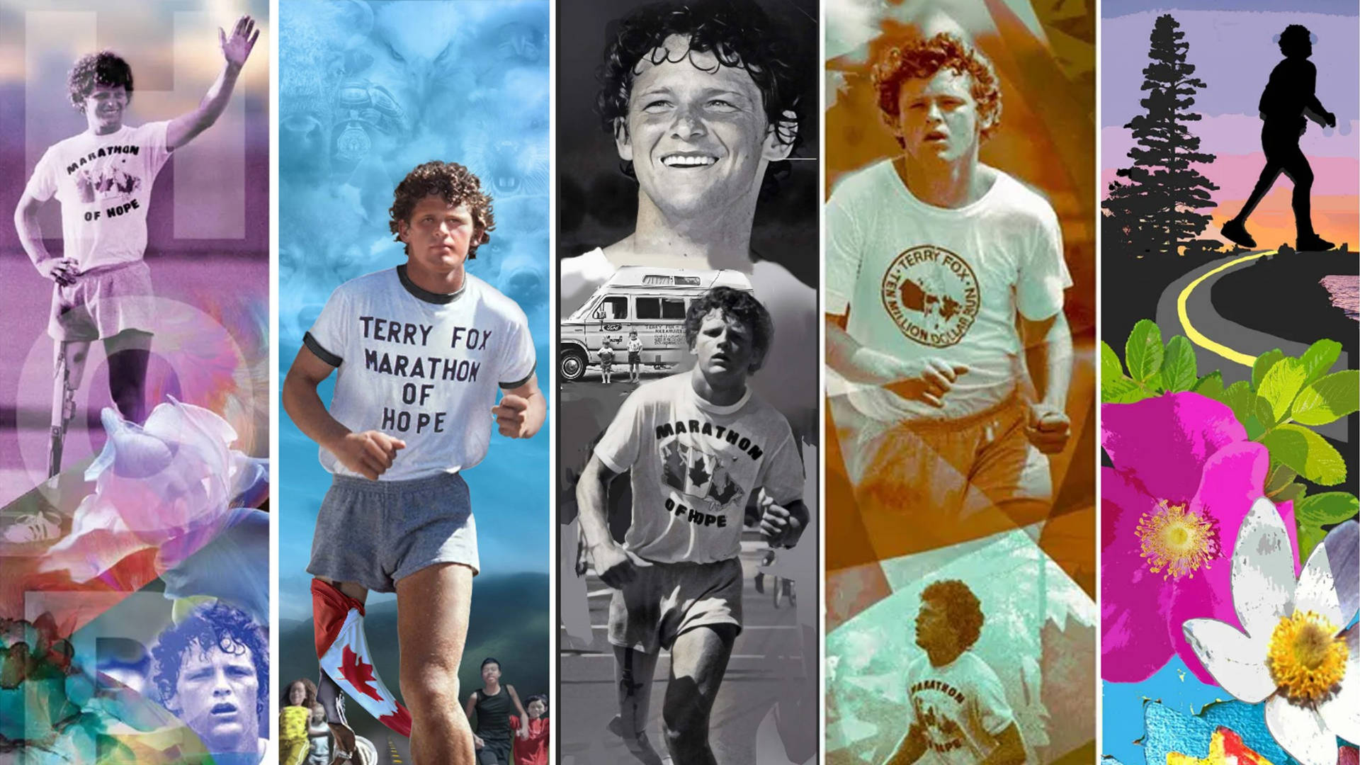 Terry Fox 桌布