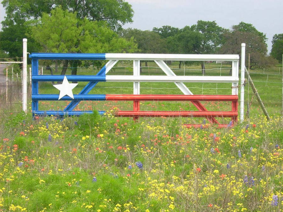 Texas Country 桌布