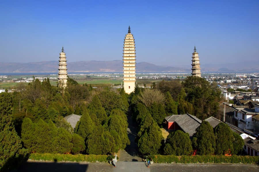 Three Pagodas 桌布