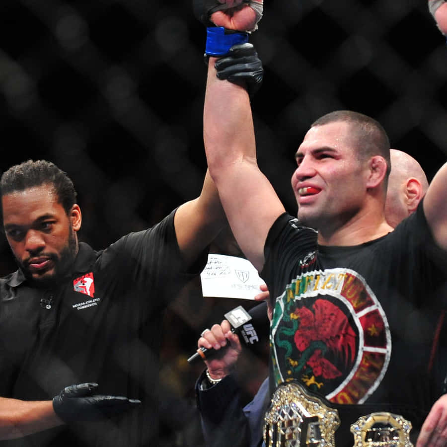 Tim Sylvia 桌布