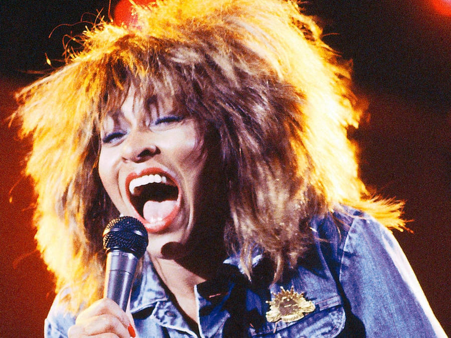 Tina Turner 桌布