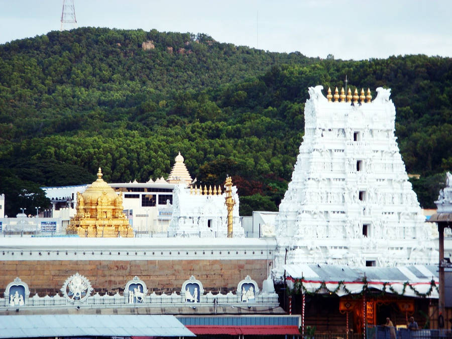 Tirupati Balaji 桌布