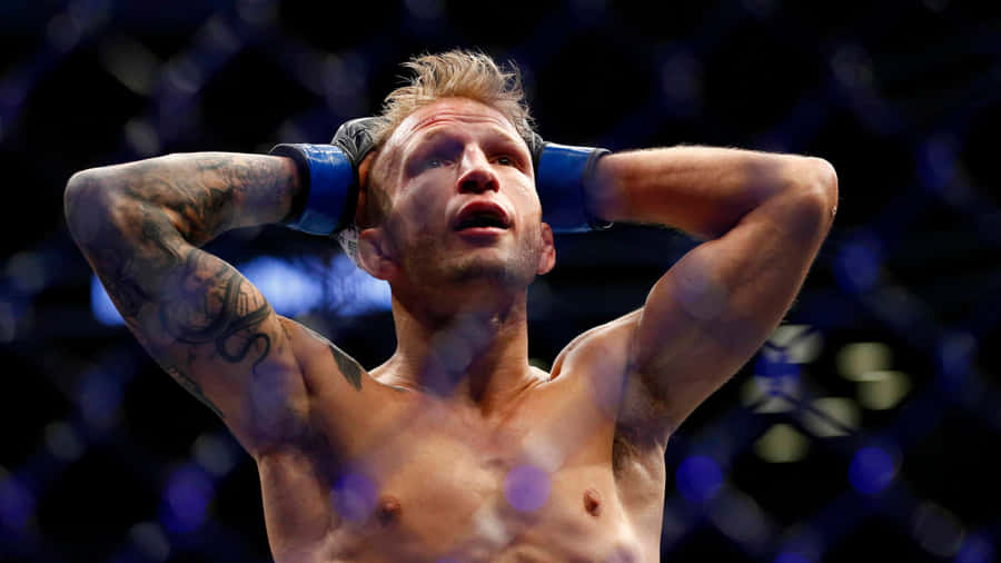 Tj Dillashaw 桌布