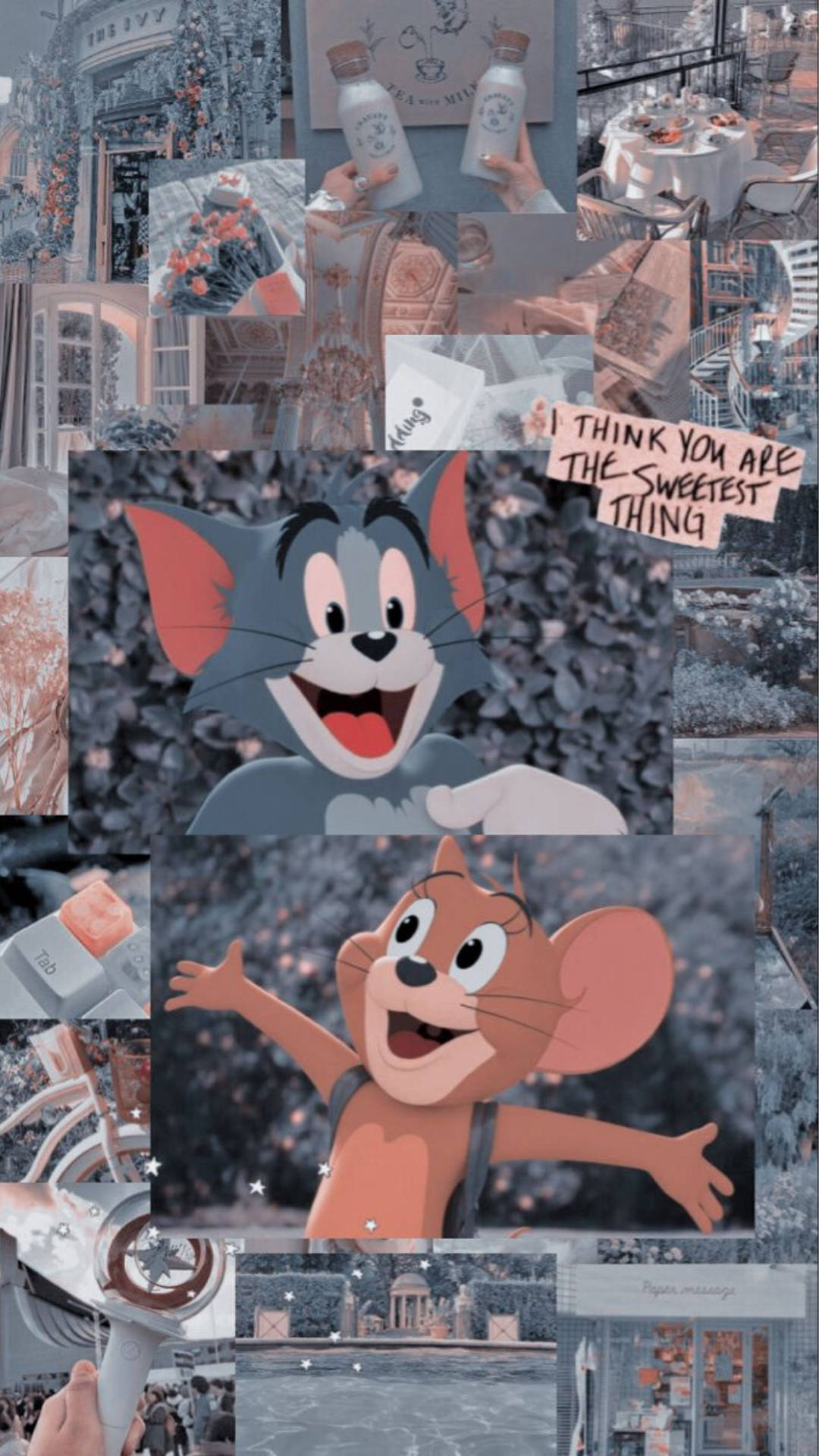 Tom And Jerry Aesthetic 桌布
