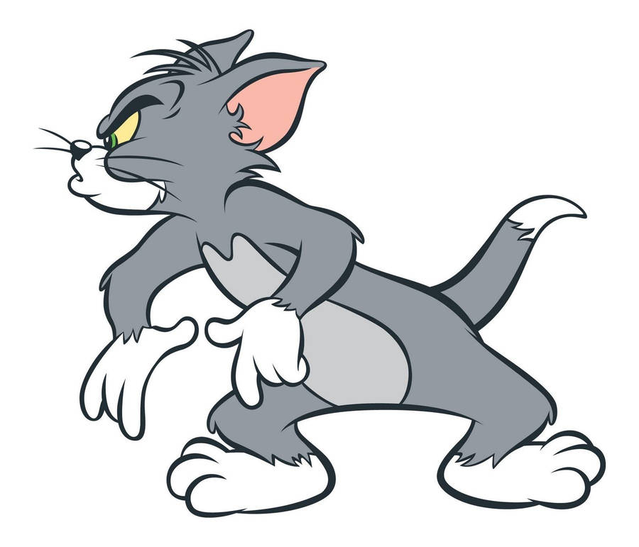 Tom cat 桌布