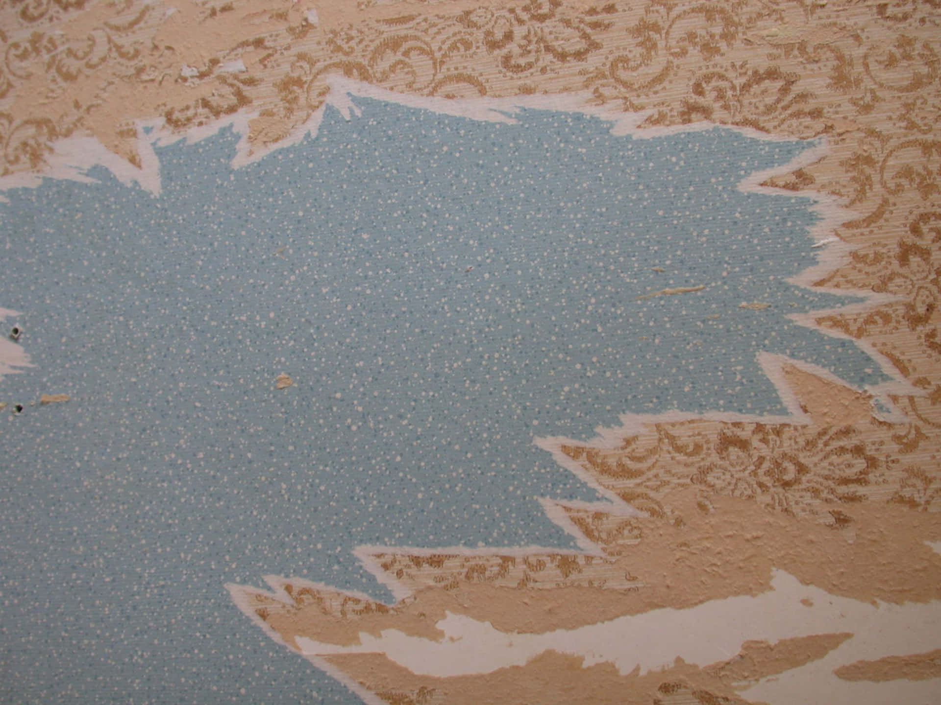 Torn Paper 桌布