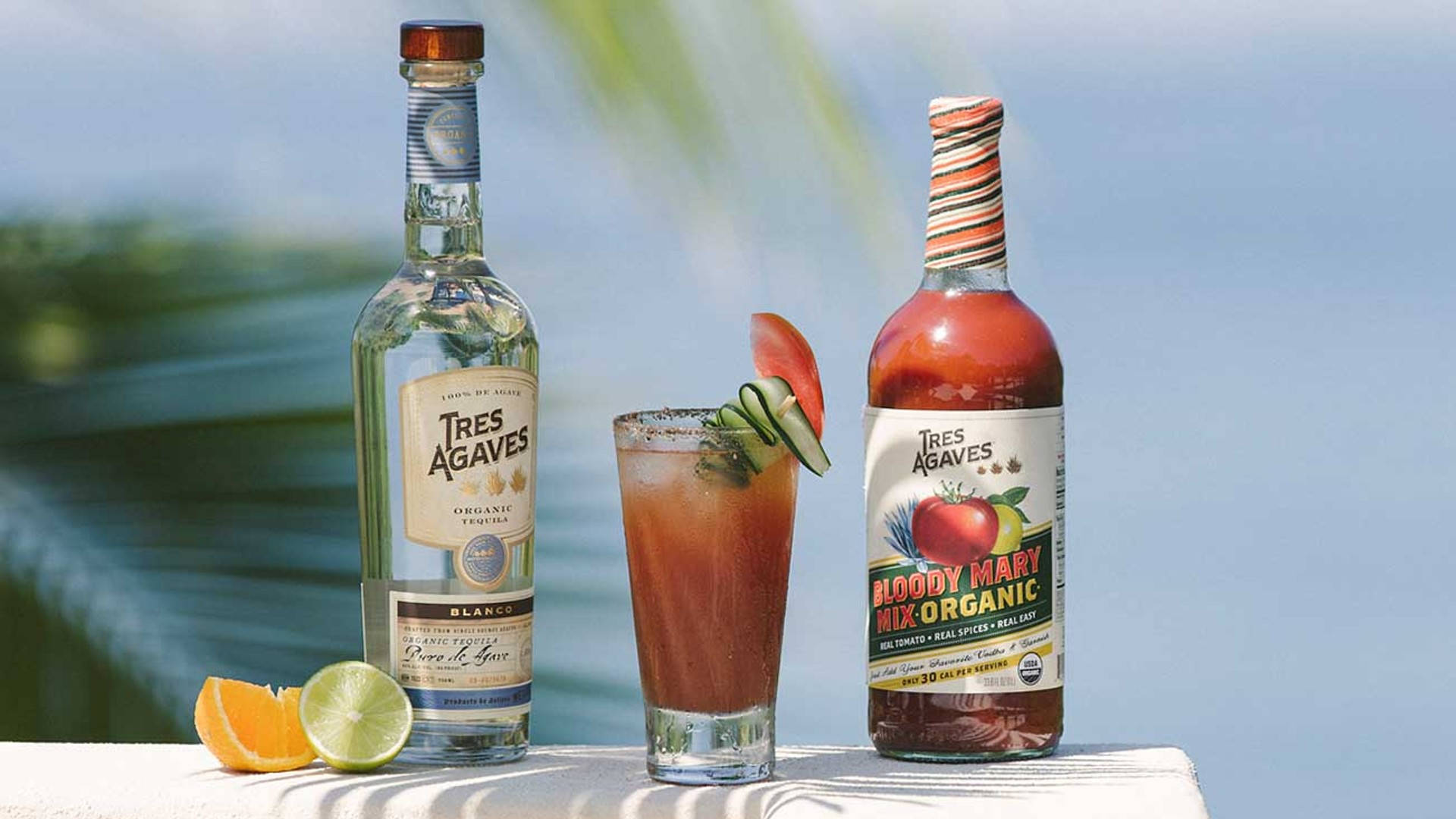 Tres Agaves 桌布