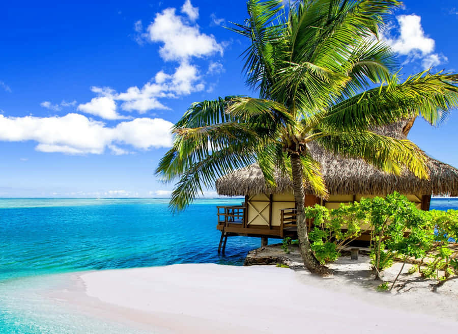 Tropical Beach Scenes 桌布