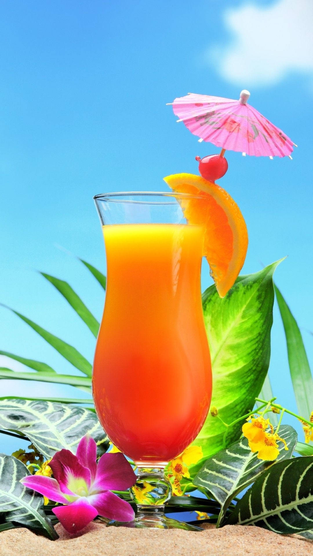 Tropical Drink 桌布