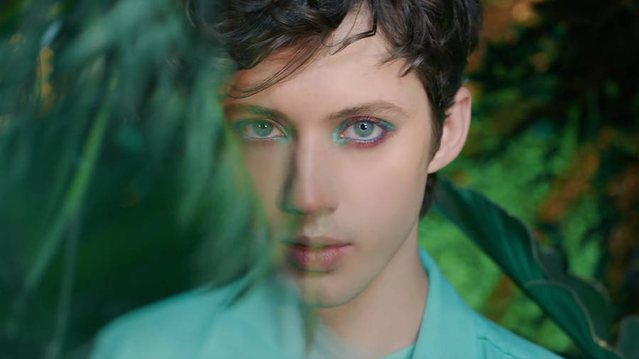 Troye sivan 桌布