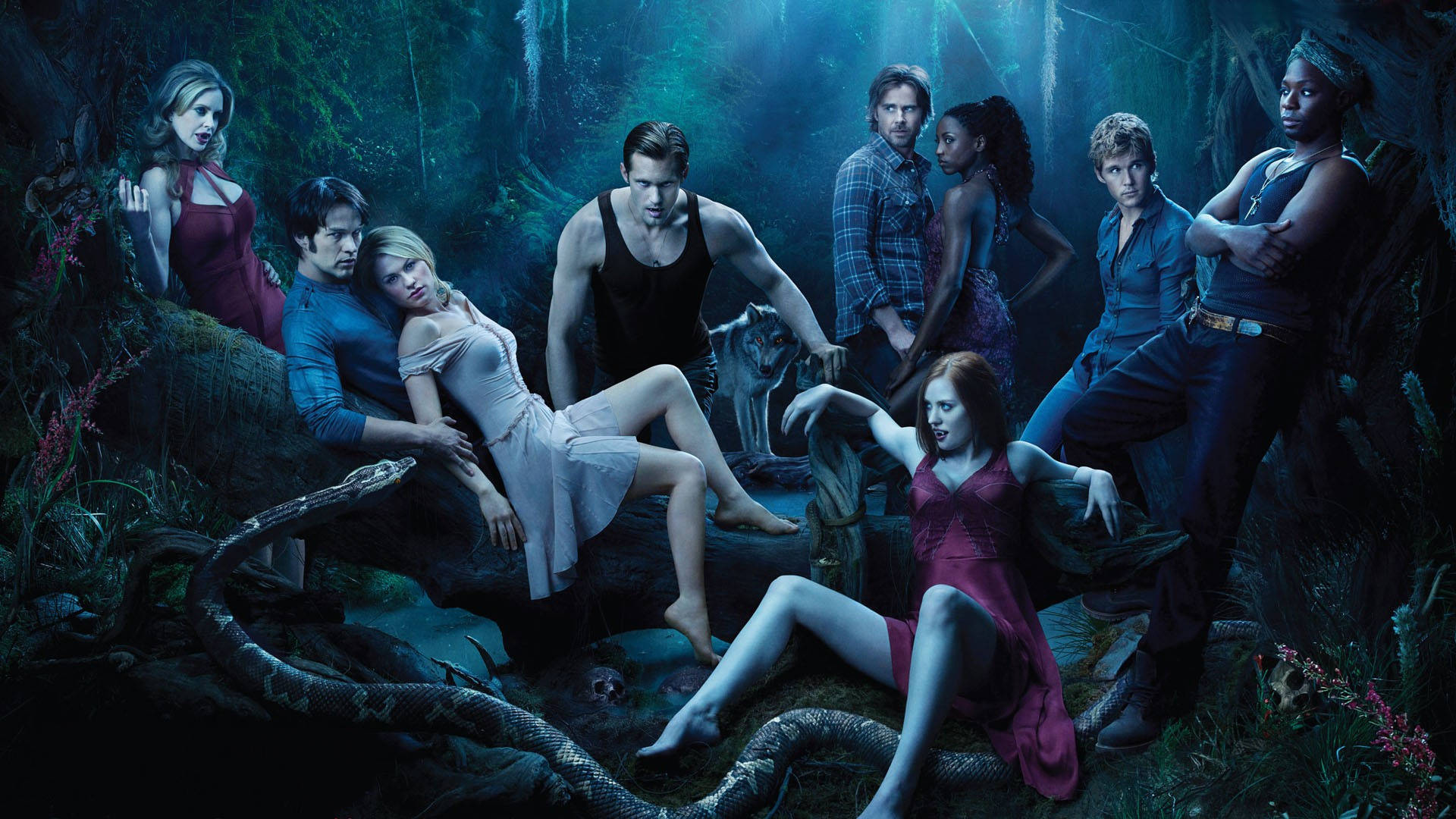 True blood 桌布