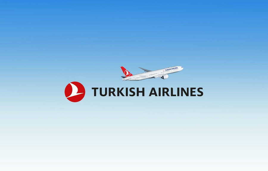 Turkish Airlines 桌布