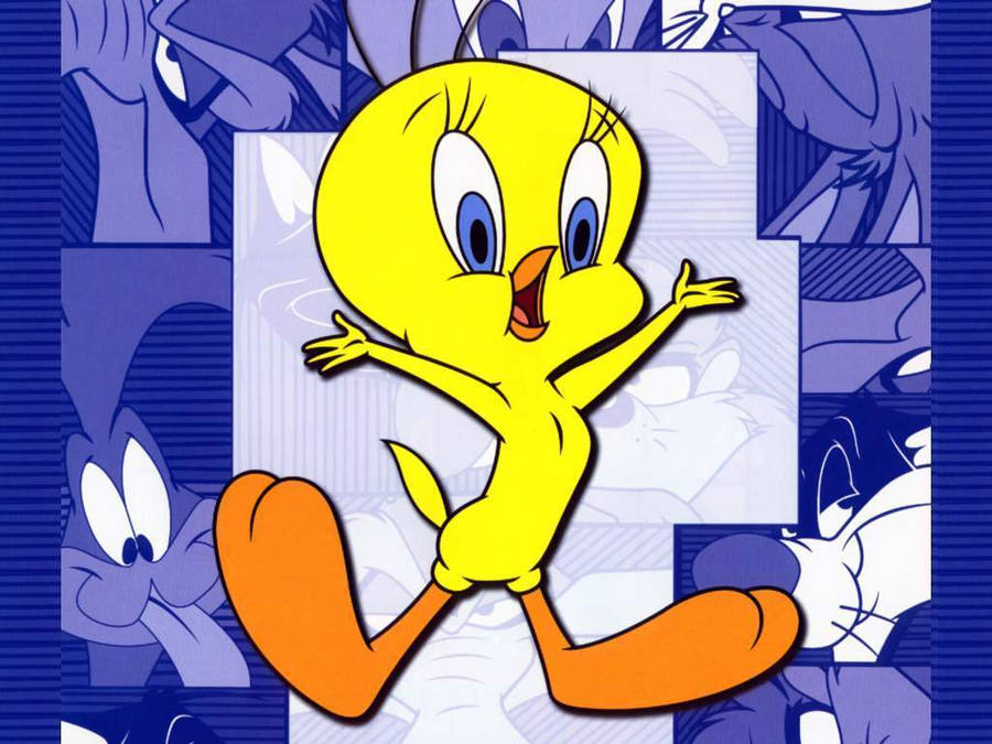 1024x768 Looney Tunes Tweety HD Background Image for iPad Air 2